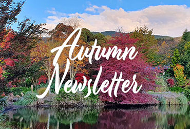 Autumn 2021 Newsletter