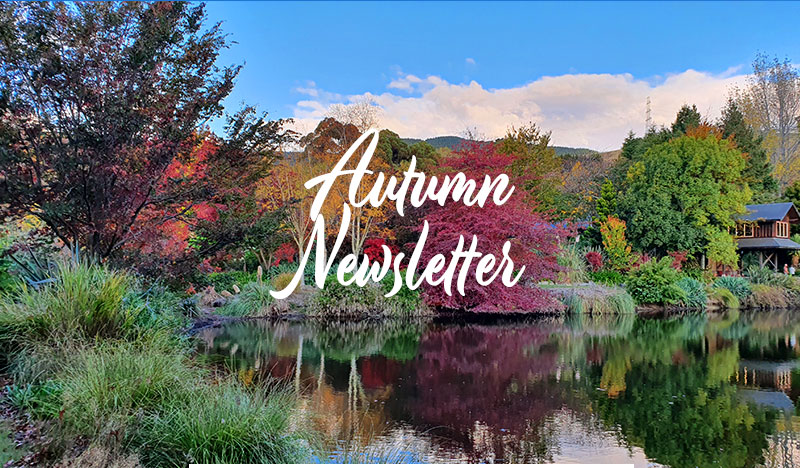 Autumn 2021 Newsletter
