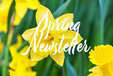 Spring 2021 Newsletter